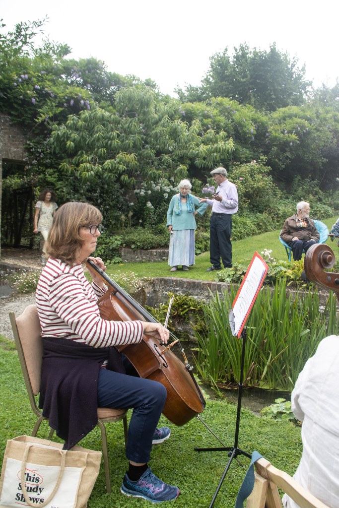 Woman playing a cello in the open air
