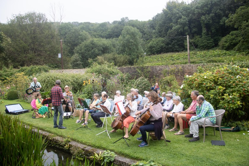 Group of singers and musicians on a grassy area